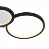 Накладной светильник Favourite Neumel 4700-4C