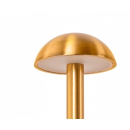 Настольная лампа декоративная Kink Light Дамари 07208-T,20