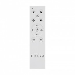 Накладной светильник Freya  FR10018CL-L40W