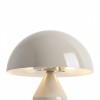 Настольная лампа декоративная Freya Eleon FR5218TL-02CR