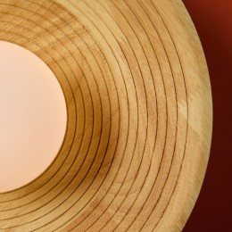 Накладной светильник Freya Albero FR5589WL-01T