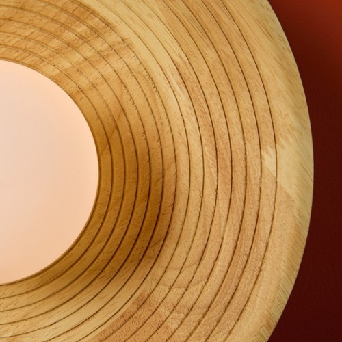 Накладной светильник Freya Albero FR5589WL-01T