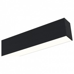 Накладной светильник Maytoni BASIS TR012-2-20W4K-B