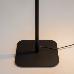 Торшер с подсветкой Maytoni Farel Z001FL-L3W-1B