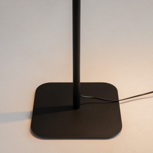 Торшер с подсветкой Maytoni Farel Z001FL-L3W-1B