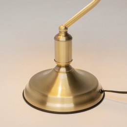 Настольная лампа офисная Maytoni Kiwi Z153-TL-01-BS