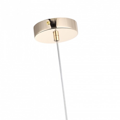 Подвесной светильник ST-Luce Elegra SL1402.253.01
