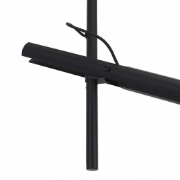 Светильник на штанге ST-Luce LILT SL6210.403.02