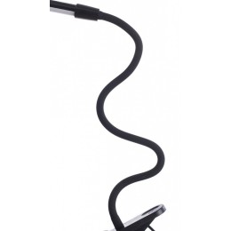 Настольная лампа офисная Arte Lamp Conference A1106LT-1BK