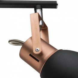 Спот Arte Lamp Jovi A1677PL-2BK