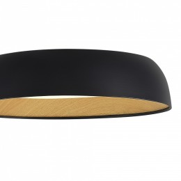 Накладной светильник EVOLUCE MUSE SLE1812-402-01