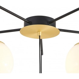 Потолочная люстра Favourite Paramount 3047-6P