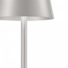 Настольная лампа декоративная Favourite Pyari 4617-1T