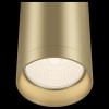 Накладной светильник Maytoni Focus C010CL-01MG
