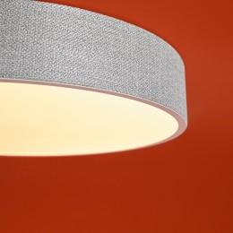 Накладной светильник Freya Ruler FR5555CL-L30BGG