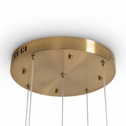 Подвесная люстра Freya Flower FR5579PL-L40BS