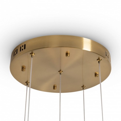 Подвесная люстра Freya Flower FR5579PL-L40BS