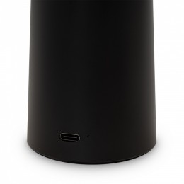 Настольная лампа декоративная Freya Mushroom FR6109TL-L4B