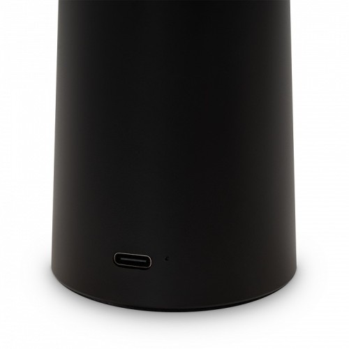 Настольная лампа декоративная Freya Mushroom FR6109TL-L4B