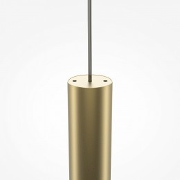 Подвесной светильник Maytoni Pro Shade MOD157PL-L6GK