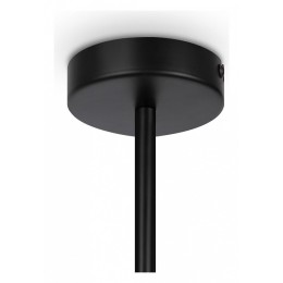 Люстра на штанге Maytoni Memory MOD177PL-04B