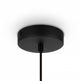 Подвесной светильник Maytoni Roots MOD193PL-01W