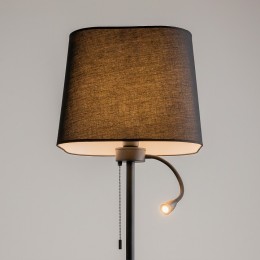 Торшер с подсветкой Maytoni Farel Z001FL-L3W-1B