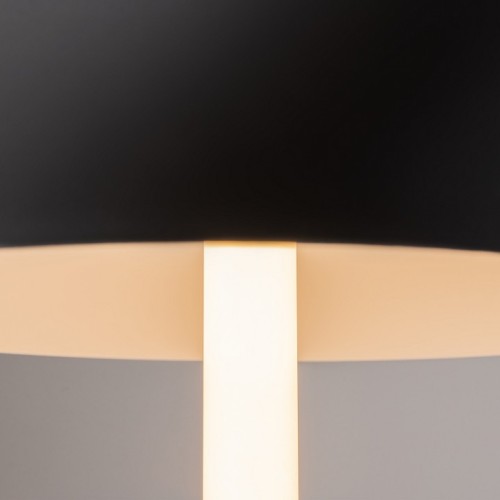 Настольная лампа декоративная Maytoni Ray Z012TL-L8B3K