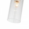 Подвесной светильник ST-Luce Elegra SL1402.203.01