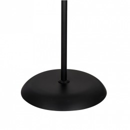 Торшер с подсветкой Arte Lamp Duetto A9569PN-2BK