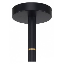 Люстра на штанге Favourite Eternity 2766-6P