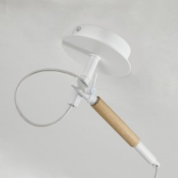 Светильник на штанге Favourite Eureka 3005-1P