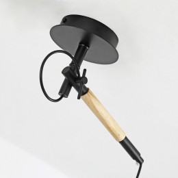 Светильник на штанге Favourite Eureka 3006-1P