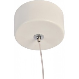 Подвесной светильник Favourite Lamba 3080-1P