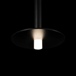 Подвесной светильник Loft it Reed 10358/830 Disk