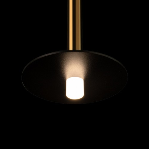 Подвесной светильник Loft it Reed 10358/830 Disk AB