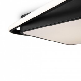 Накладной светильник Freya  FR10030CL-L88B