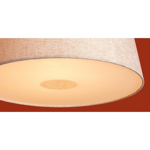 Подвесной светильник Freya Butler FR2057PL-01BG