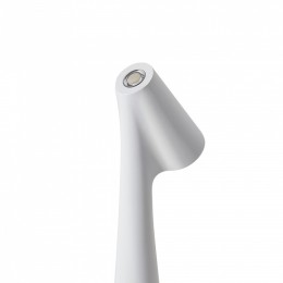 Настольная лампа декоративная Freya Clam FR6188TL-L3W
