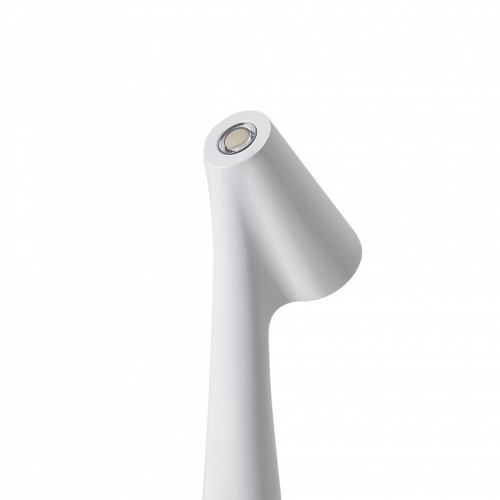 Настольная лампа декоративная Freya Clam FR6188TL-L3W