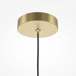 Подвесной светильник Maytoni Pro Focus MOD161PL-01G1