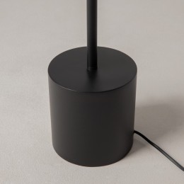 Торшер Maytoni Evolution MOD396FL-L10W3K