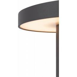 Наземный низкий светильник Maytoni Wald O420FL-L12GF