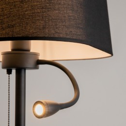 Торшер с подсветкой Maytoni Farel Z001FL-L3W-1B