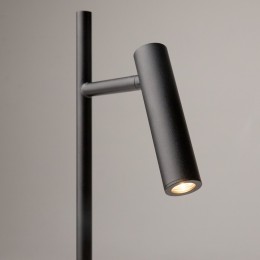 Торшер Maytoni Estudo Z010FL-L8B3K