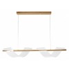 Подвесной светильник Arte Lamp Fiorita A2093SP-2GO