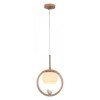 Подвесной светильник Arte Lamp Caprice A4182SP-1BR