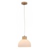 Подвесной светильник Arte Lamp Caprice A4184SP-1BR