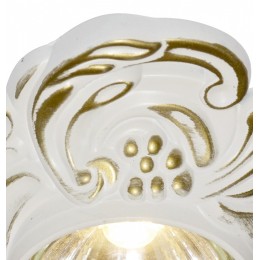 Встраиваемый светильник Arte Lamp Occhio A5285PL-1SG