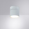 Светильник на штанге Arte Lamp Intercrus A5549PL-1WH